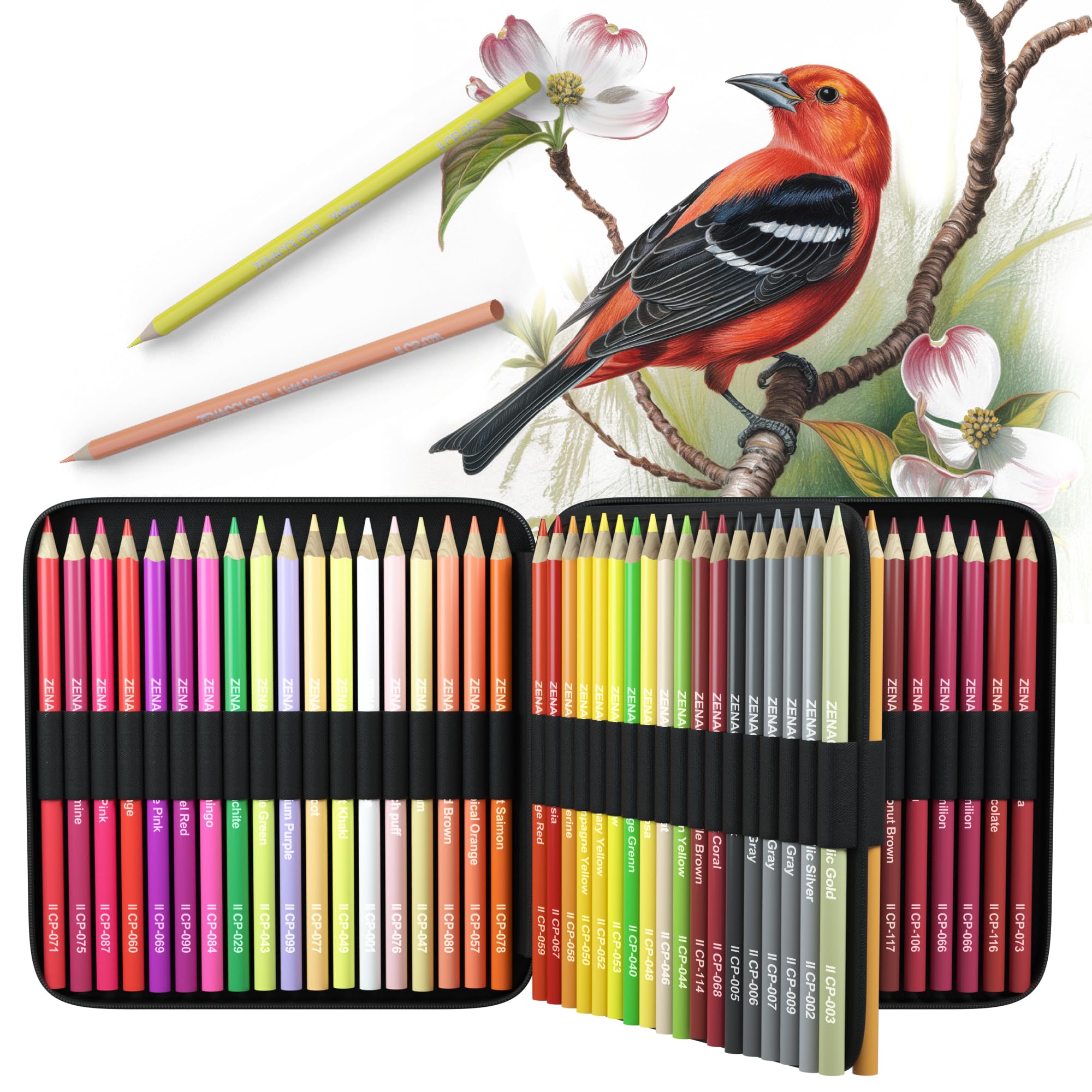 Zenacolor - Set de 72 Crayons de Couleur Professionnels - Dessin et Coloration - Idéal pour Adultes et Enfants - Trousse